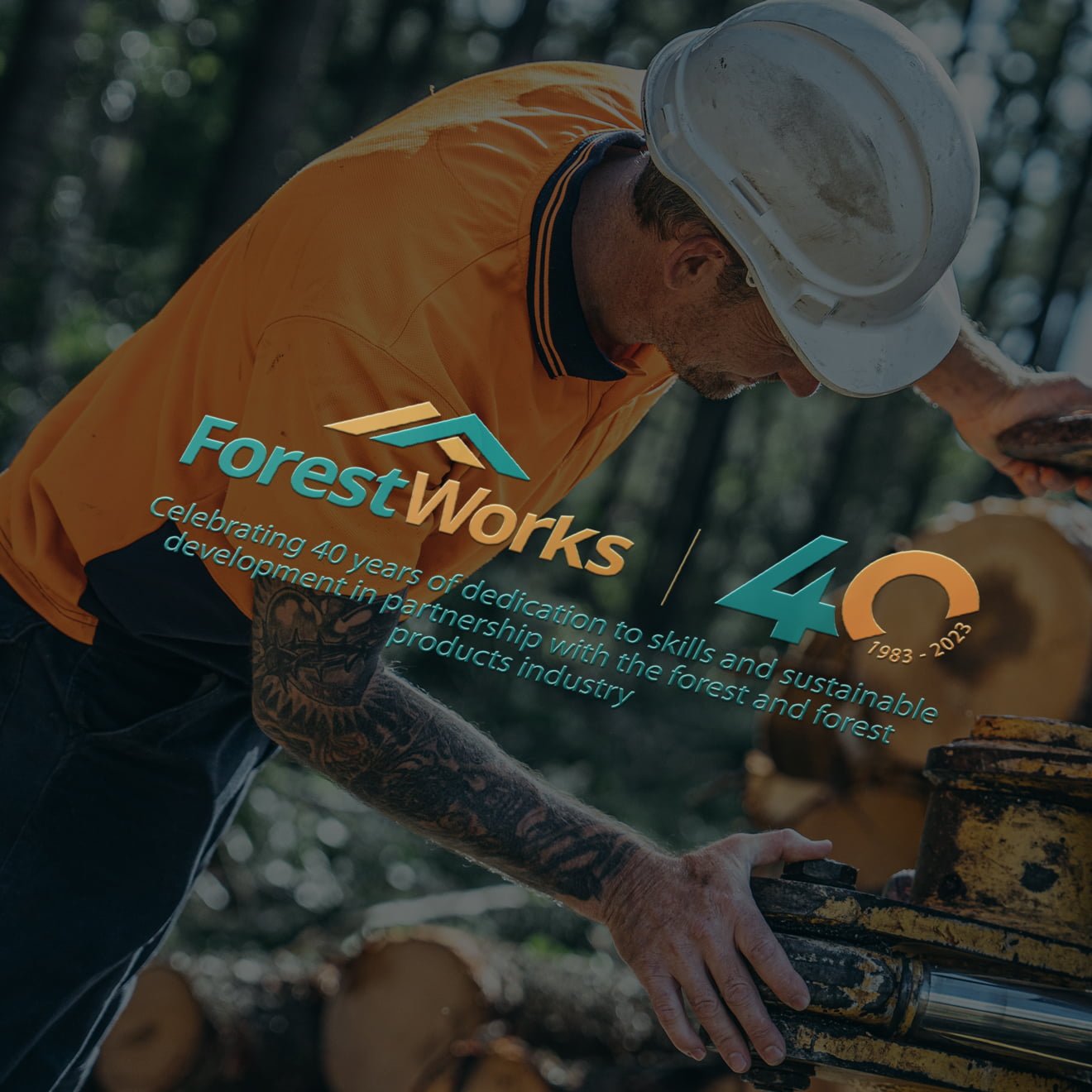 40 year logo for forestworks colour versition