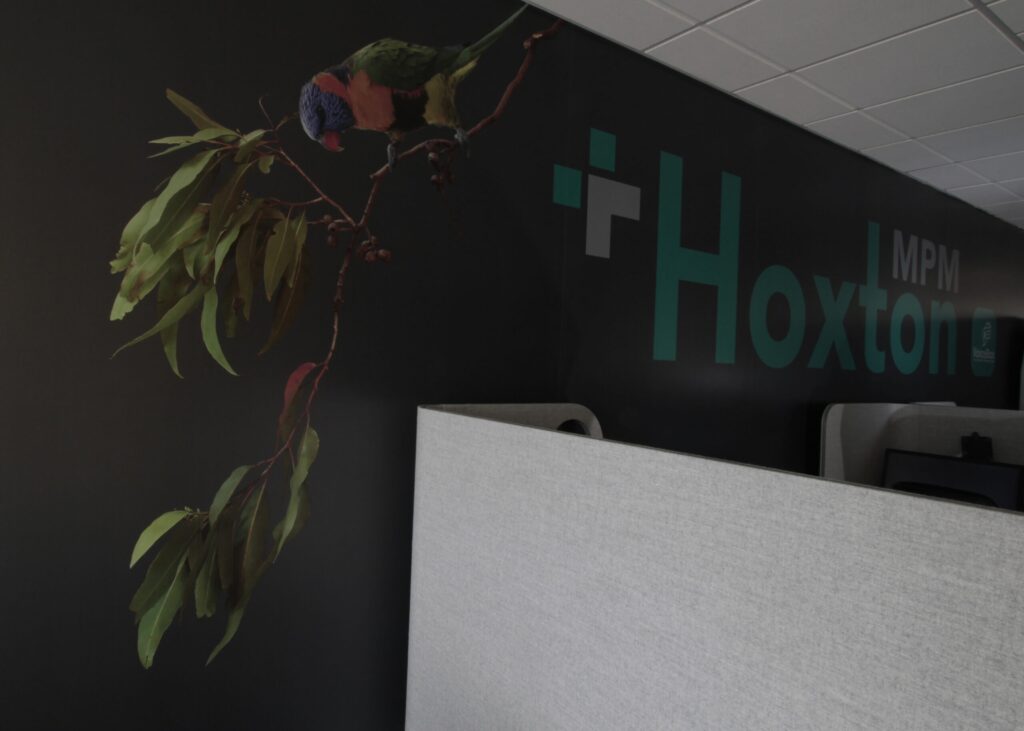 wall design and environmental view of medical practice for hoxton